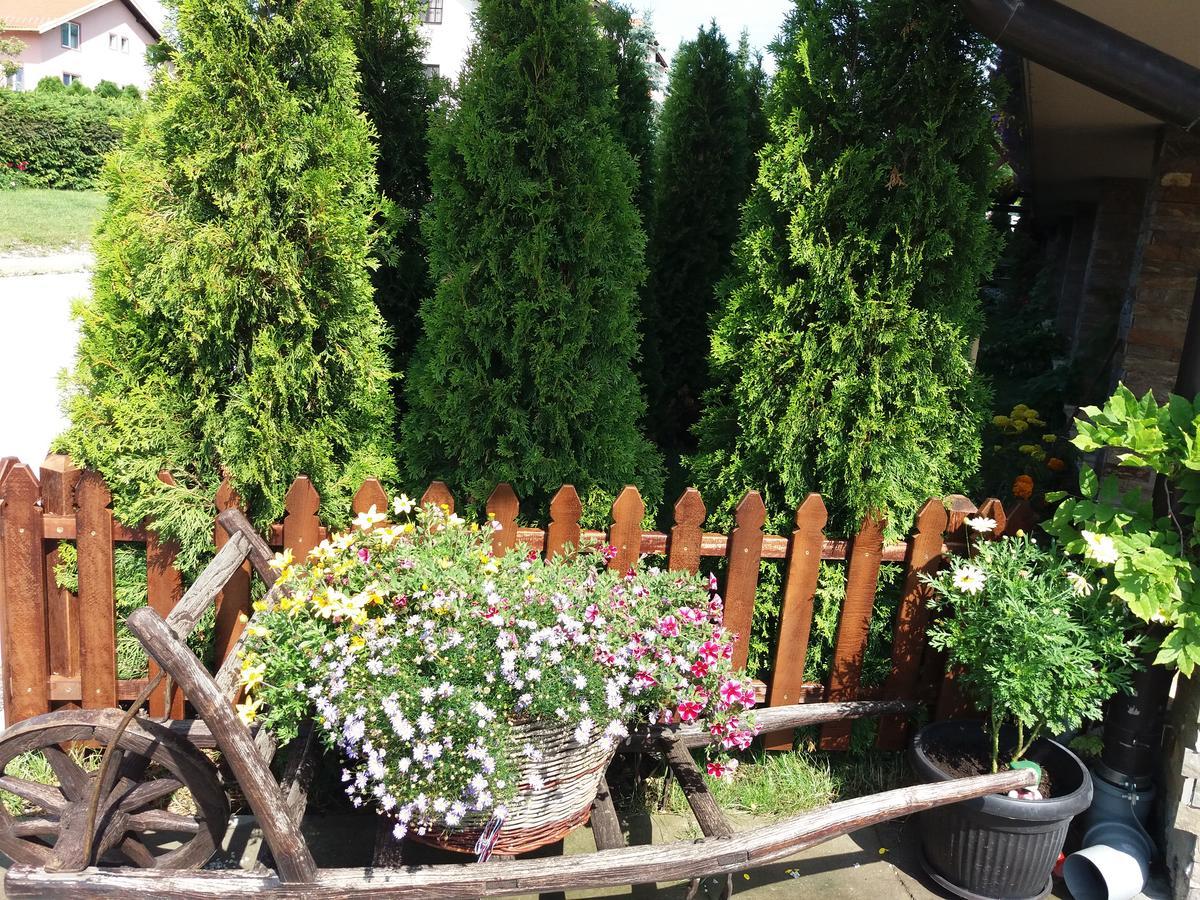 Centar! Masa Zlatibor Apartamento Exterior foto